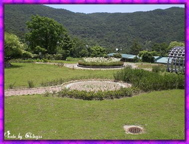 红尘直播app安卓最新版