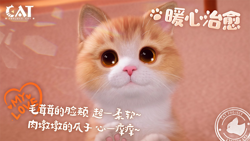 西山居治愈系猫咪养成新游《Project Cat》亮相ChinaJoy