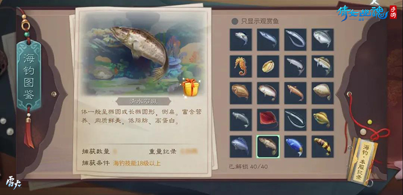 倩女手游沧海主题家具曝光，体验海钓欢乐畅游海底乐园！