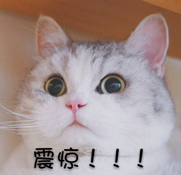 百万艺人争当海王，起源竟是绝对演绎剧组戏服