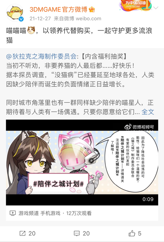 治愈“没猫病”，和狄拉克之海一起守护猫咪
