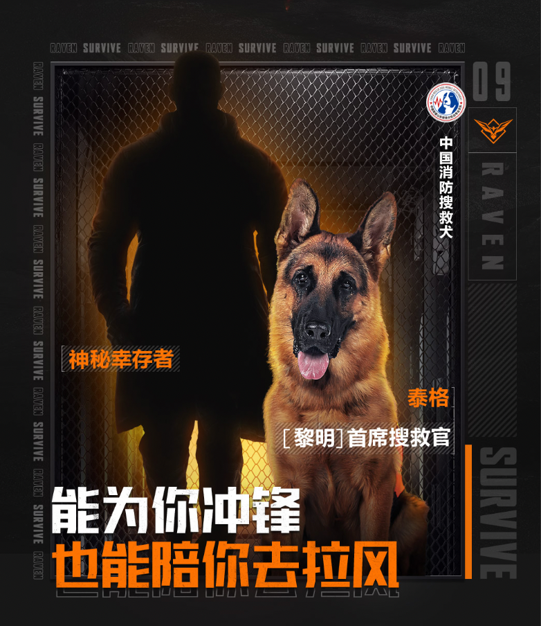 《黎明觉醒：生机》来了一位新成员！中国消防搜救犬泰格出任黎明首席搜救官插图12