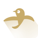 爱浪直播平台app最新版