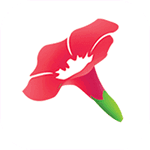 哎呦视频直播app