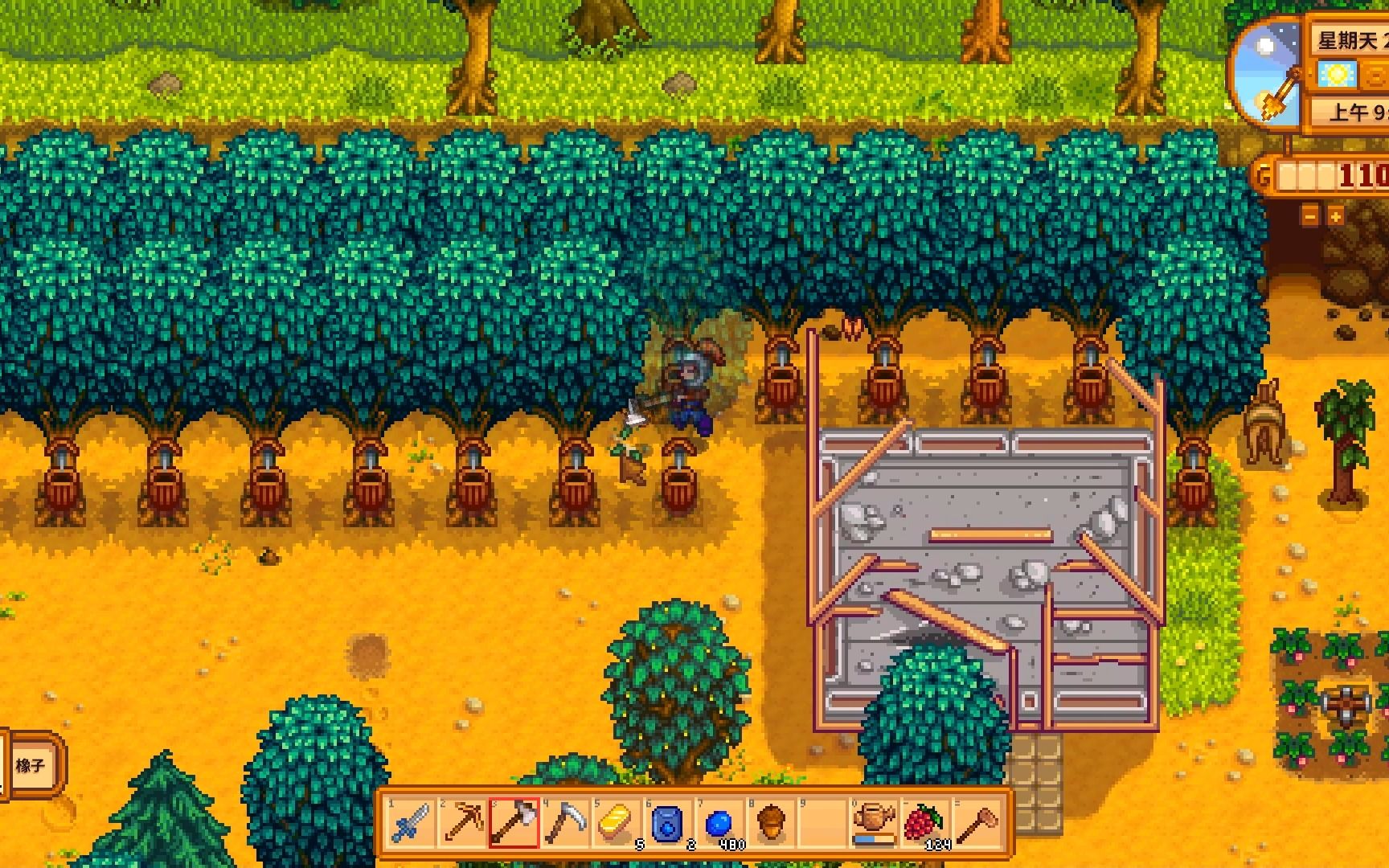 星露谷物语如何分辨所有的树木