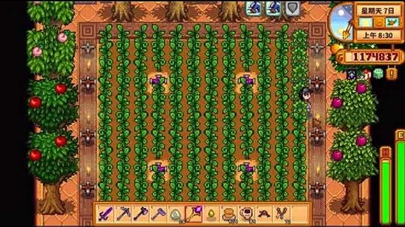 星露谷物语齐瓜如何种植