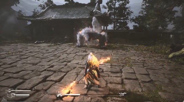 黑神话悟空葫芦和泡酒物有什么用