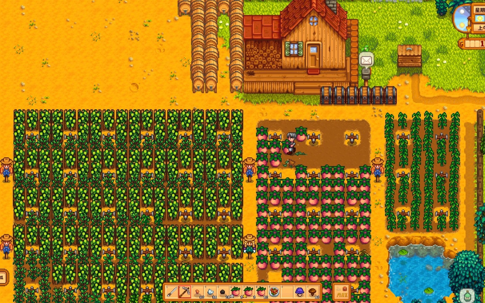 星露谷物语夏季有哪些必做的事情 星露谷物语夏季有哪些必做的事情