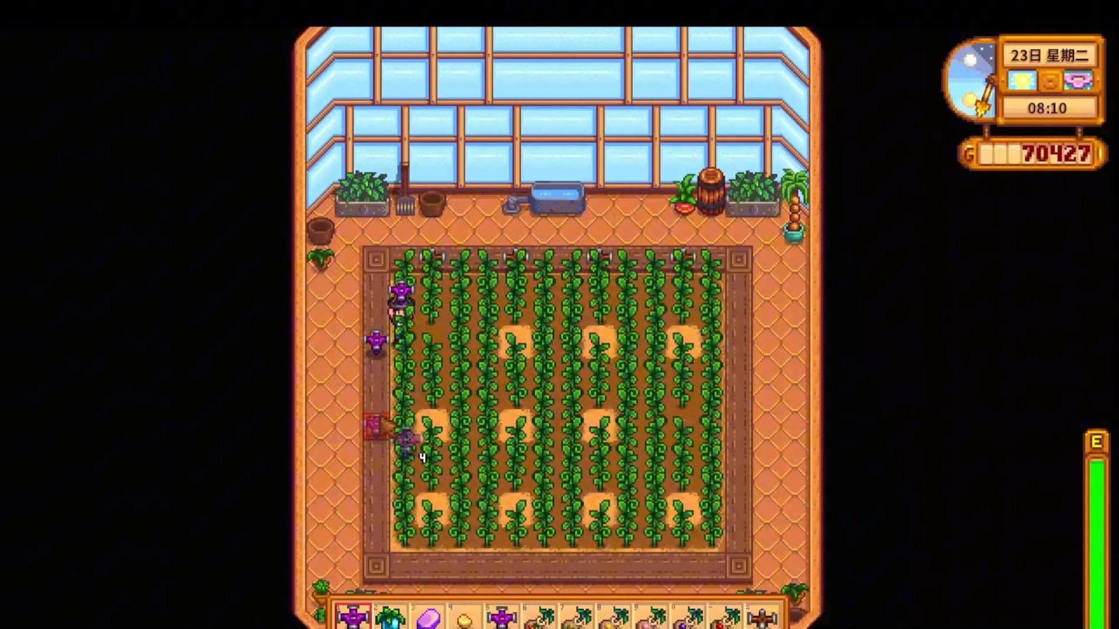 星露谷物语温室有哪些特性