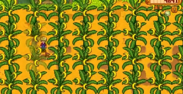 星露谷物语姜岛果树有哪些特性