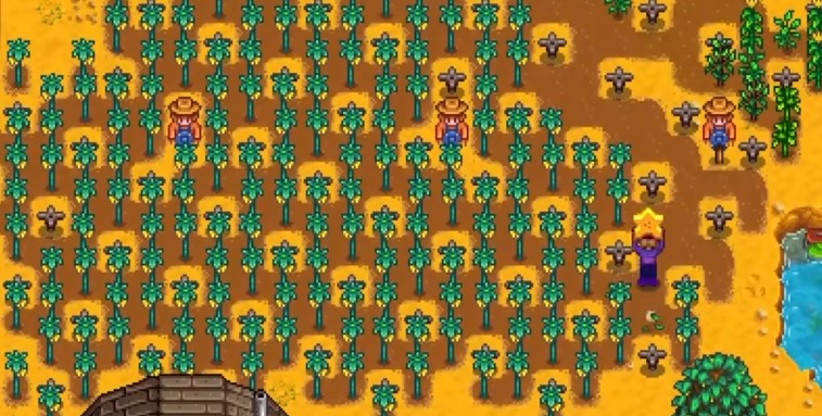 星露谷物语第一年做洒水器怎么样