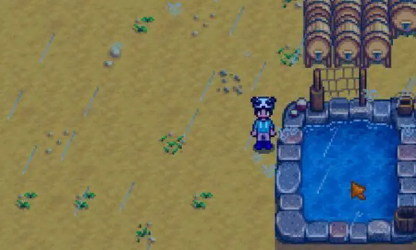 星露谷物语鱼塘的任务要如何完成