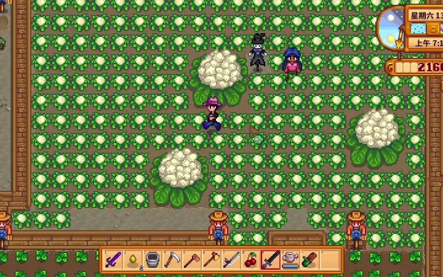 星露谷物语花椰菜有哪些特性