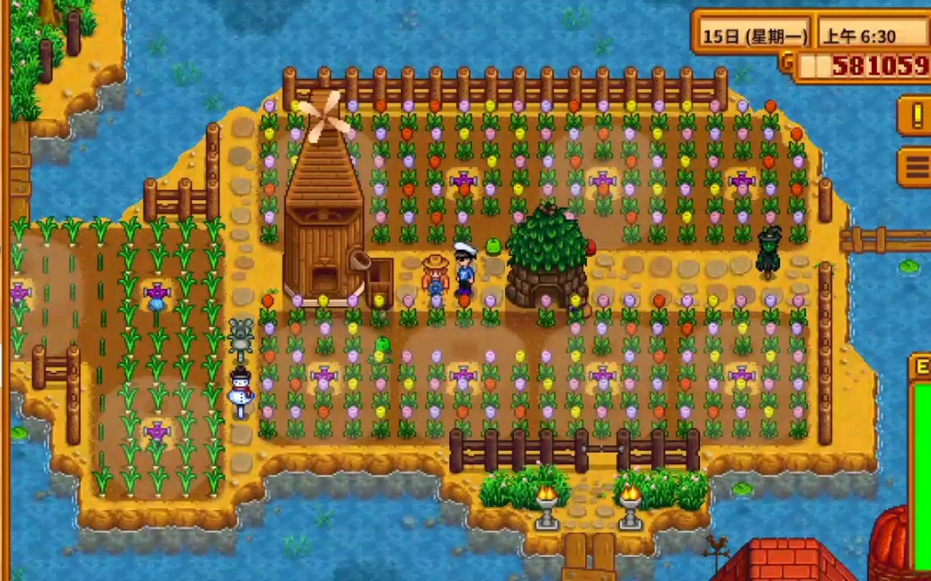 星露谷物语郁金香有哪些特性