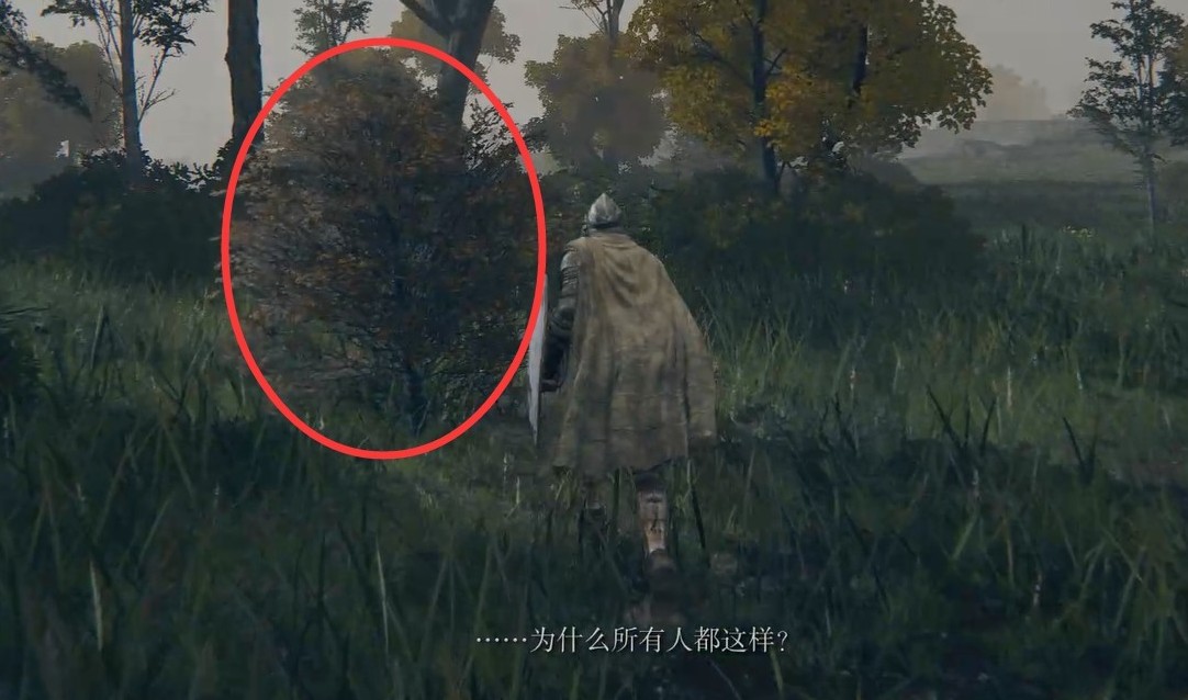 艾尔登法环裁缝师柏克支线任务如何完成