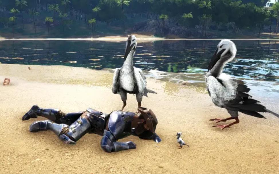 方舟生存进化鱼鸟特性是什么