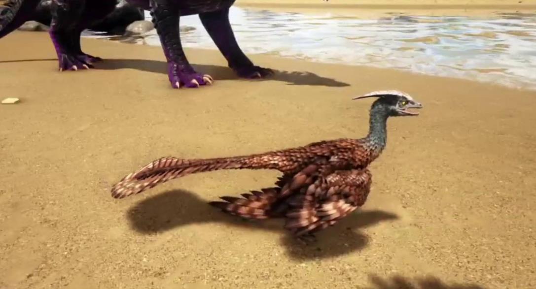 方舟生存进化鱼鸟特性是什么