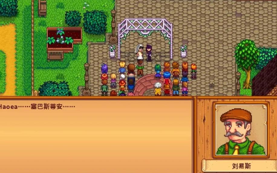 星露谷物语塞巴斯蒂安喜欢什么礼物