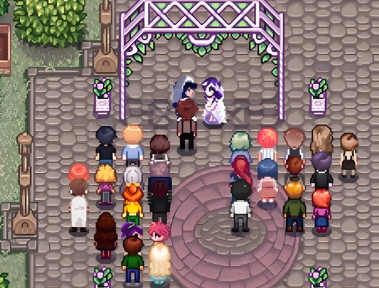 星露谷物语怎么和亚历克斯结婚 星露谷物语怎么和亚历克斯结婚