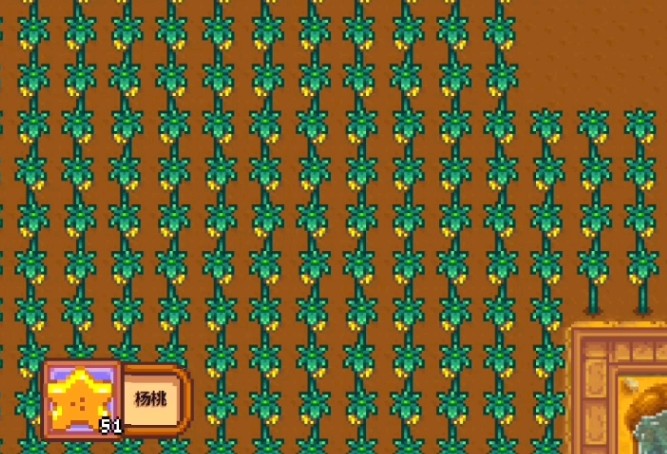 星露谷物语不同季节种什么收益最高