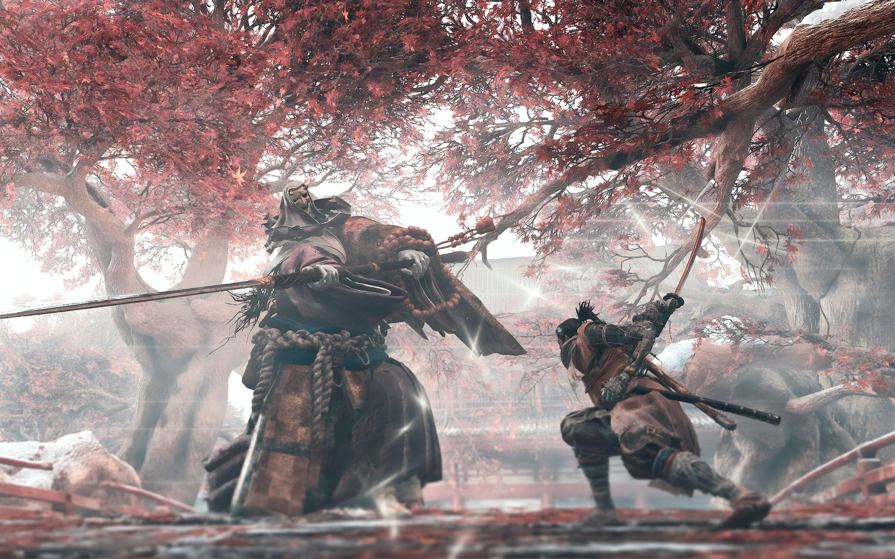 只狼怎么进行破戒僧的识破