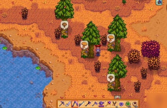 星露谷物语如何分辨所有的树木