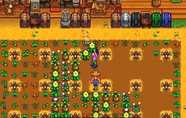 星露谷物语初期食物如何选择