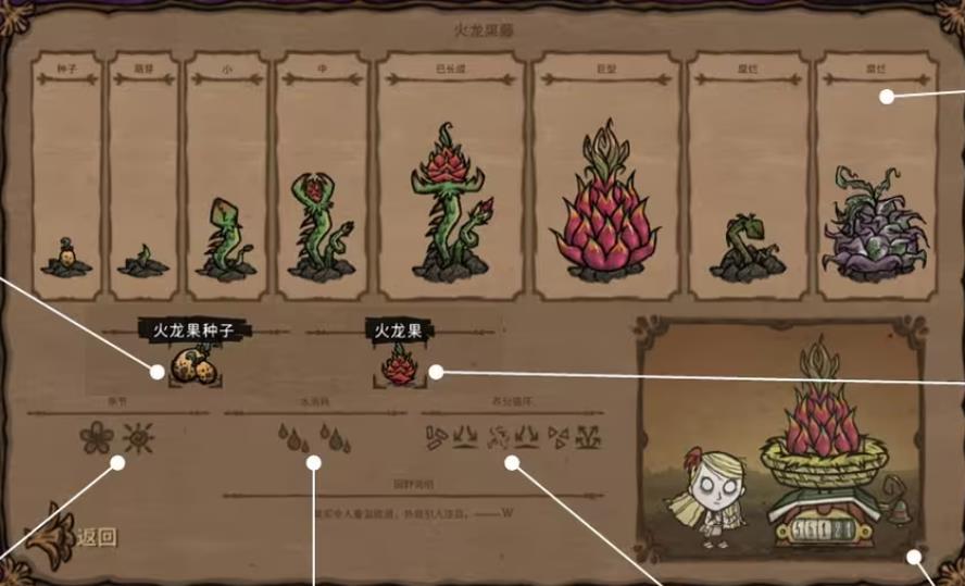 饥荒耕作先驱帽怎么用