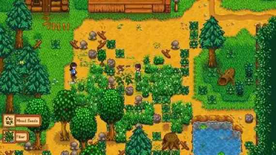 星露谷物语杂草有哪些小知识