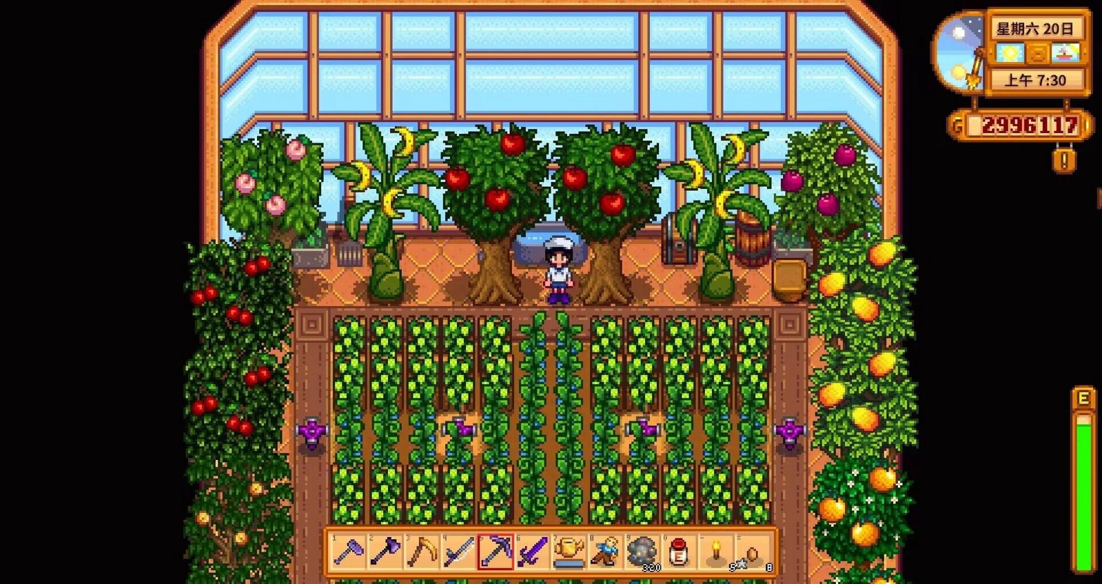 星露谷物语秋季种植有哪些方向