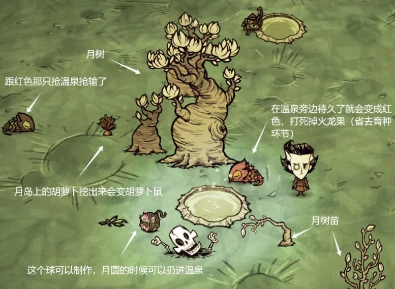 饥荒月岛海滩和浴场中有什么