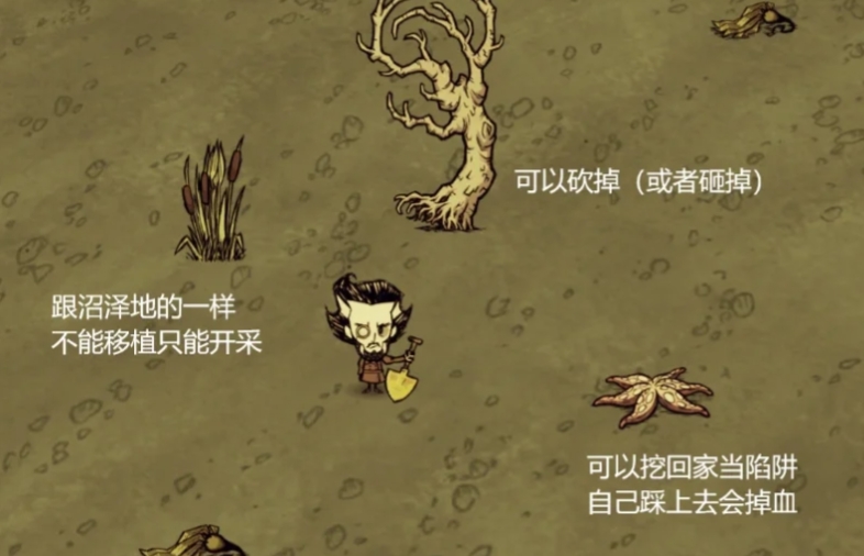 饥荒月岛海滩和浴场中有什么