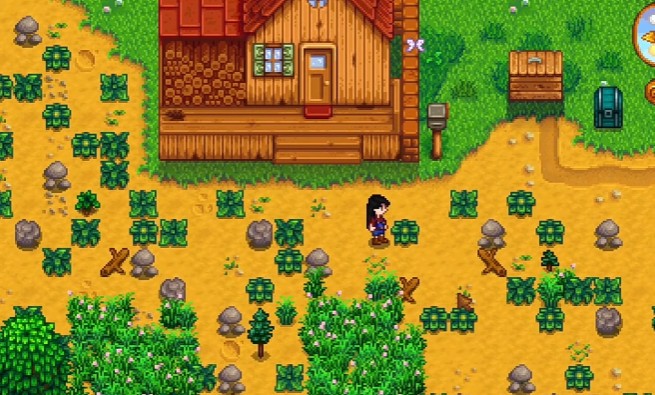 星露谷物语杂草的类型有哪些 星露谷物语杂草的类型有哪些