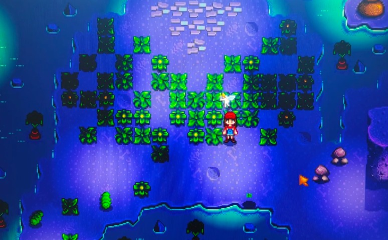 星露谷物语纤维如何大量收集 星露谷物语纤维如何大量收集