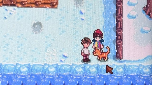 星露谷物语抚摸猫掉落物品有哪些机制 星露谷物语抚摸猫掉落物品有哪些机制