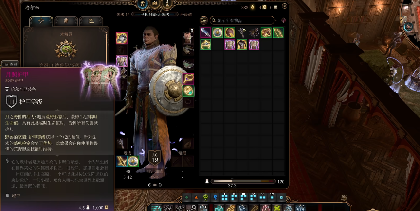 博德之门3月亮德鲁伊装备构筑有哪些