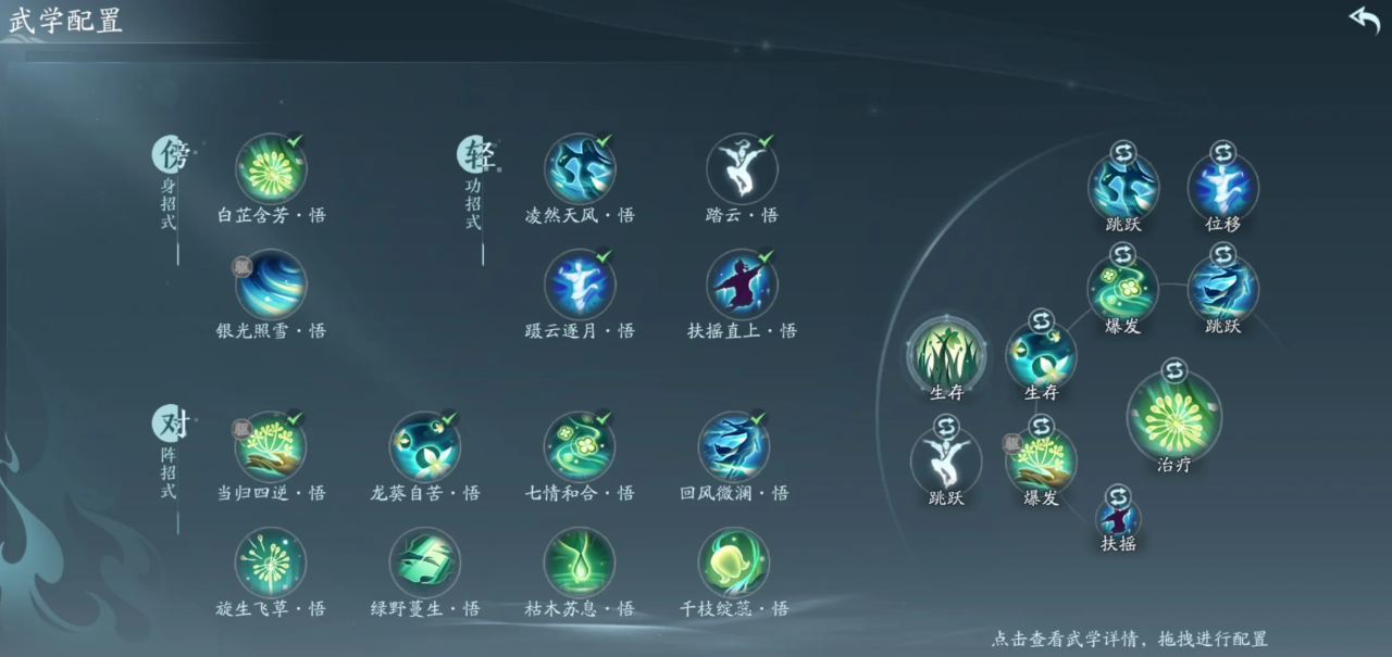 剑网三无界奶药在JJC的技能选什么