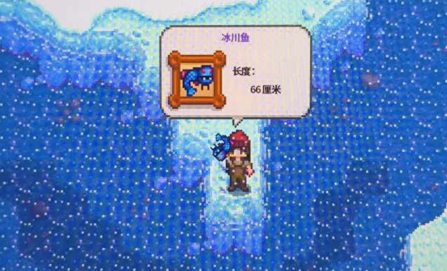 星露谷物语要如何捕获四季鱼王