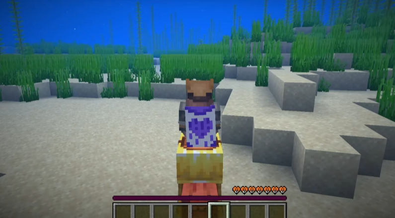 我的世界鹦鹉螺特性是什么