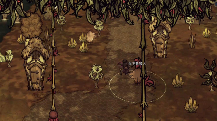 饥荒疙瘩树特性是什么