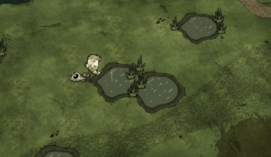 饥荒池塘类型有哪些 饥荒池塘类型有哪些