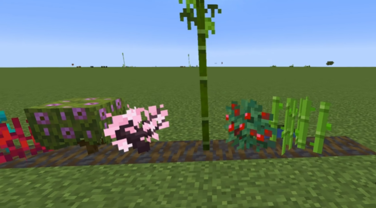 我的世界沾泥的红树根作用是什么 我的世界沾泥的红树根作用是什么