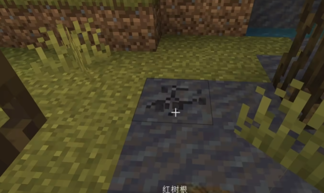 我的世界沾泥的红树根作用是什么 我的世界沾泥的红树根作用是什么