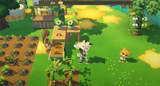 星布谷地有哪些新手小知识