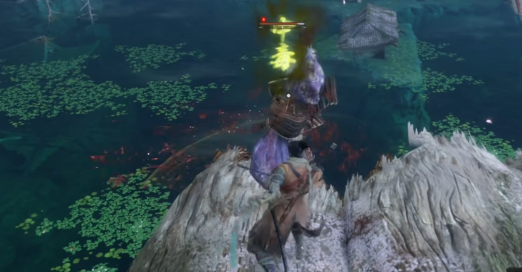 只狼影逝二度锈丸类型有哪些