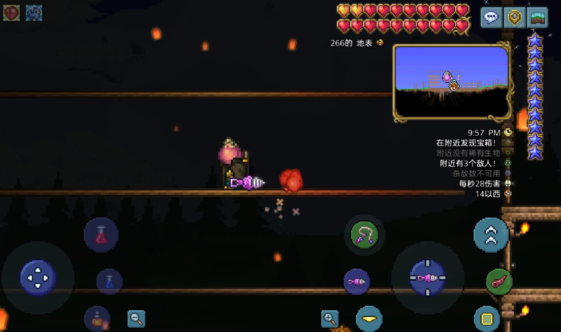 泰拉瑞亚低照明亮度的宠物有哪些