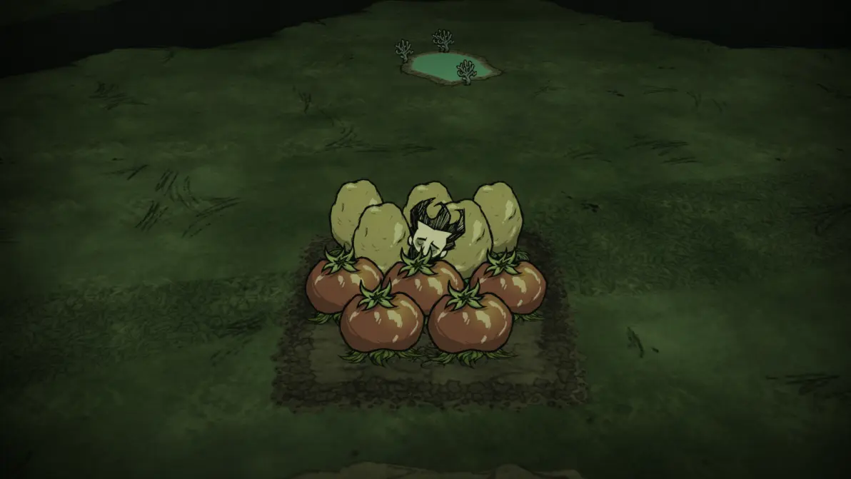 饥荒联机版种什么作物最实用