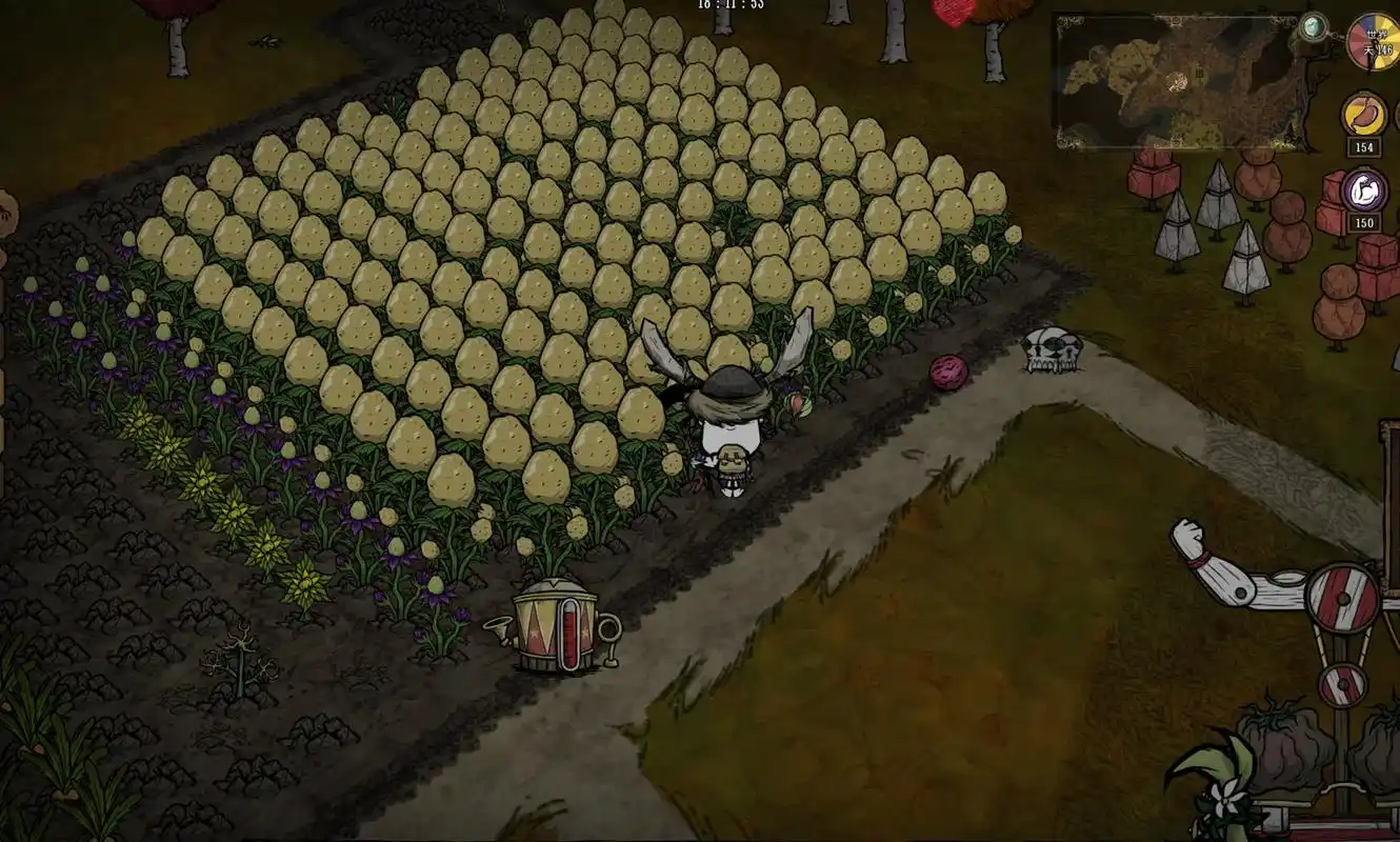 饥荒联机版种什么作物最实用