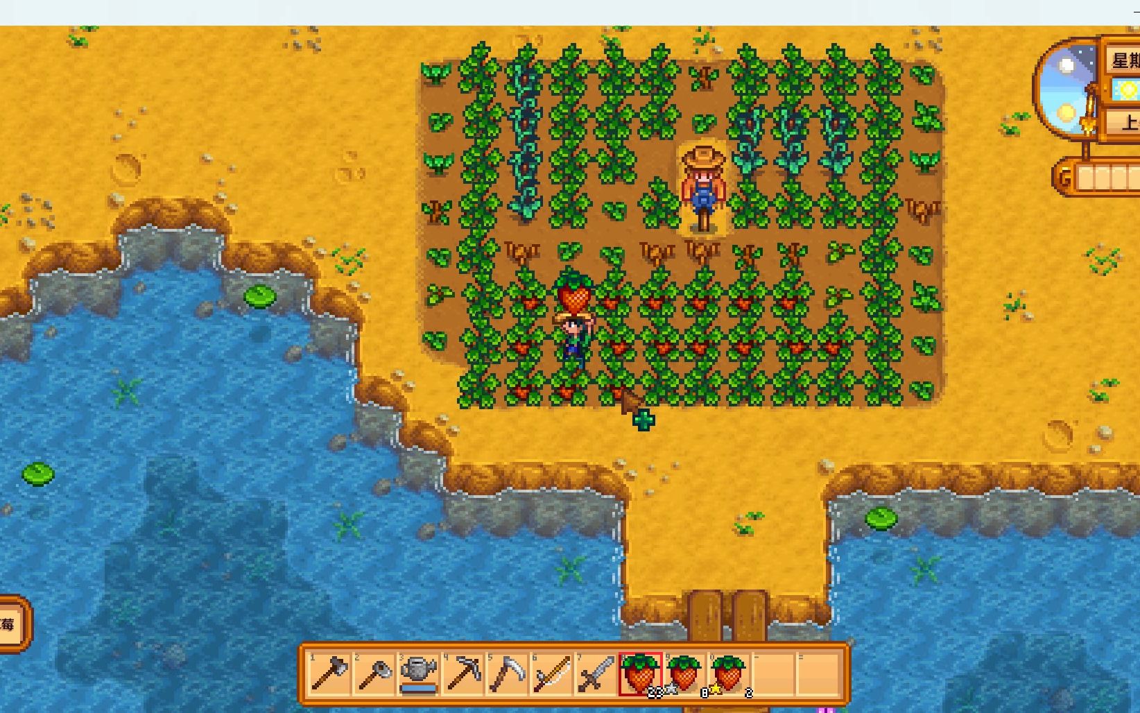 星露谷物语优质作物有哪些