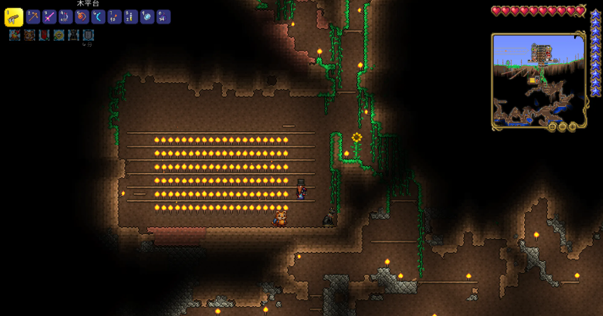 泰拉瑞亚稀有成就怎么获取